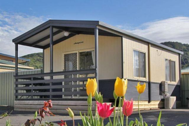 Apollo Bay Holiday Park Værelse billede